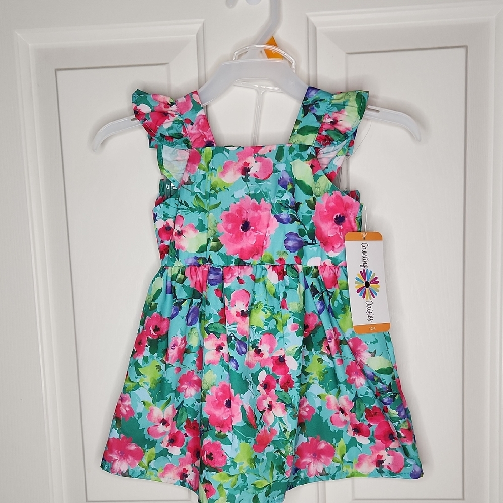 counting daisies dress 12 months. Pink blue purple, green floral.